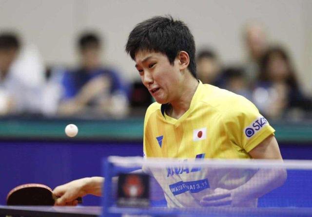 战斗精神的 战斗精神的